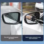 Telescopic Car Mirror Squeegee 6 71675 923778