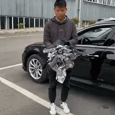 Car Sunshade Umbrella 7 72256 be62ab