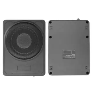 10" 800W Slim Car Subwoofer with Built-in Amp